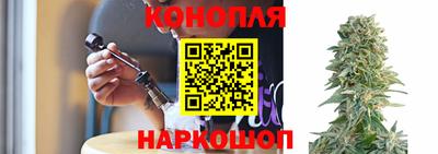 каннабис Новозыбков