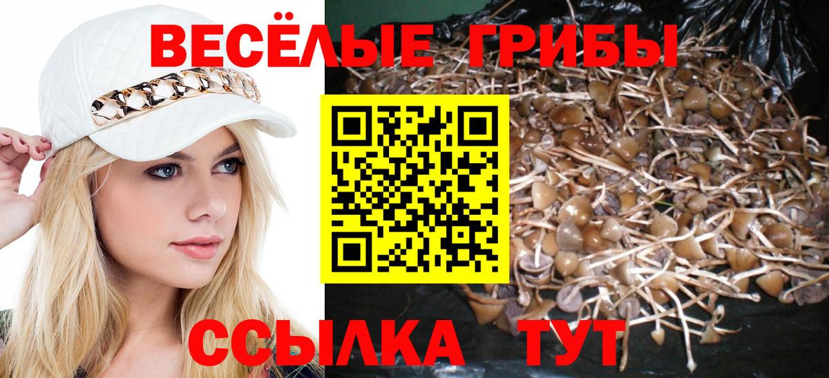 Псилоцибиновые грибы прущие грибы  Вход с VPN  Салехард 